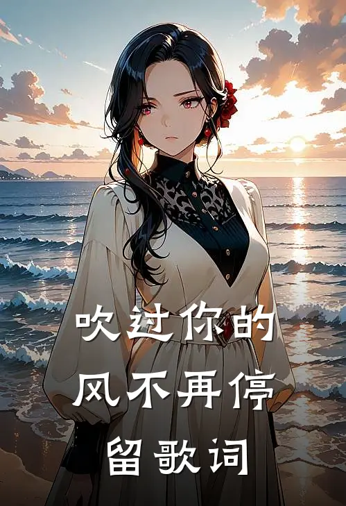 吹过你的风不再停留歌词