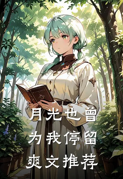 月光也曾为我停留爽文推荐