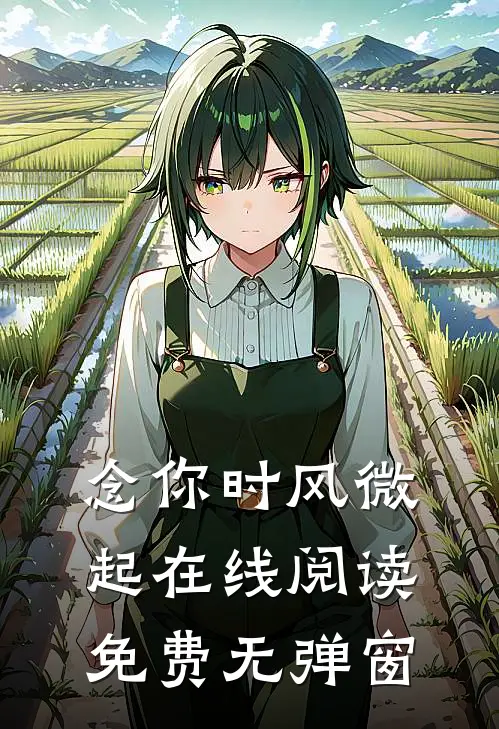 念你时风微起在线阅读免费无弹窗