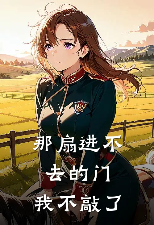 那扇进不去的门,我不敲了结局