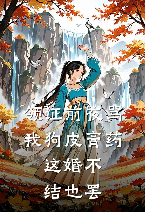领证前夜骂我狗皮膏药，这婚不结也罢