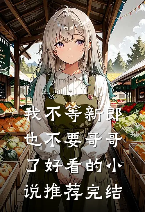 我不等新郎，也不要哥哥了好看的小说推荐完结