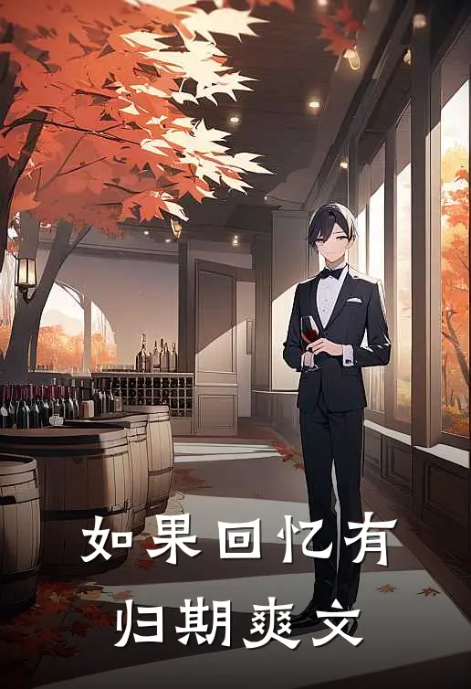 如果回忆有归期爽文