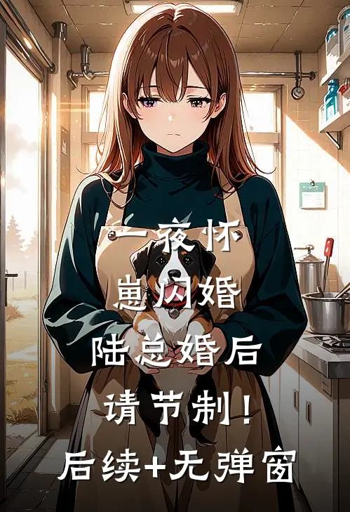 一夜怀崽闪婚，陆总婚后请节制！后续+无弹窗