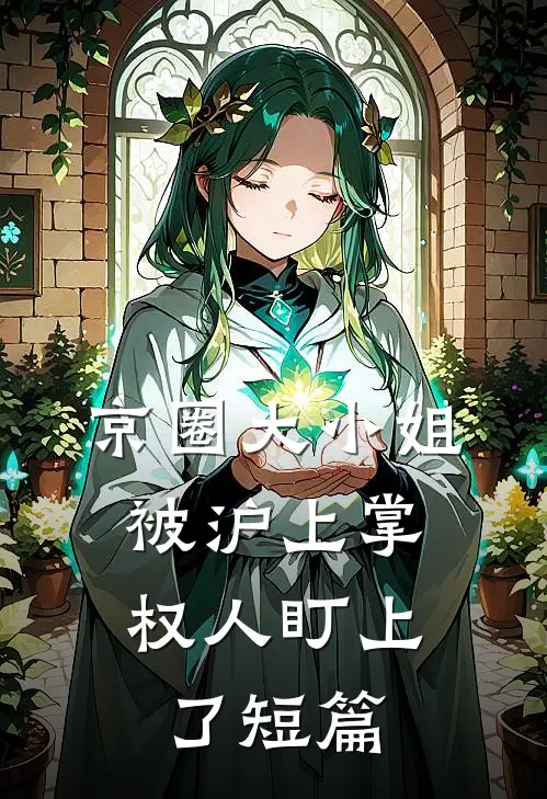京圈大小姐，被沪上掌权人盯上了短篇
