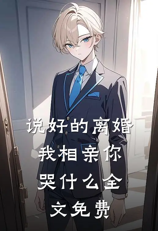 说好的离婚，我相亲你哭什么全文免费