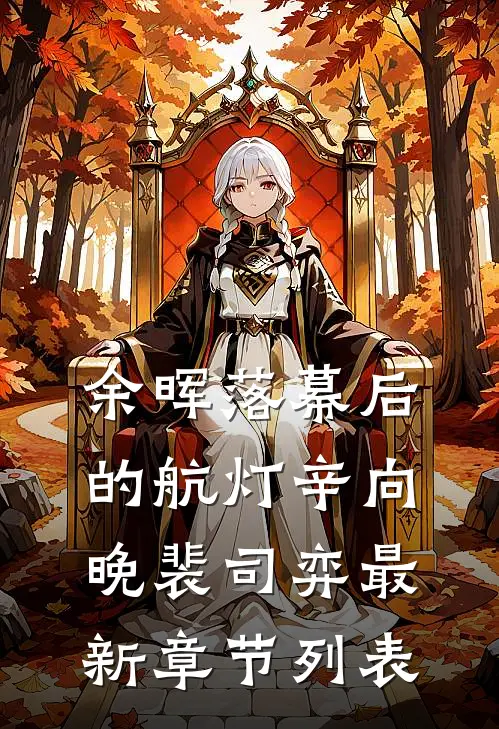 余晖落幕后的航灯辛向晚裴司弈最新章节列表