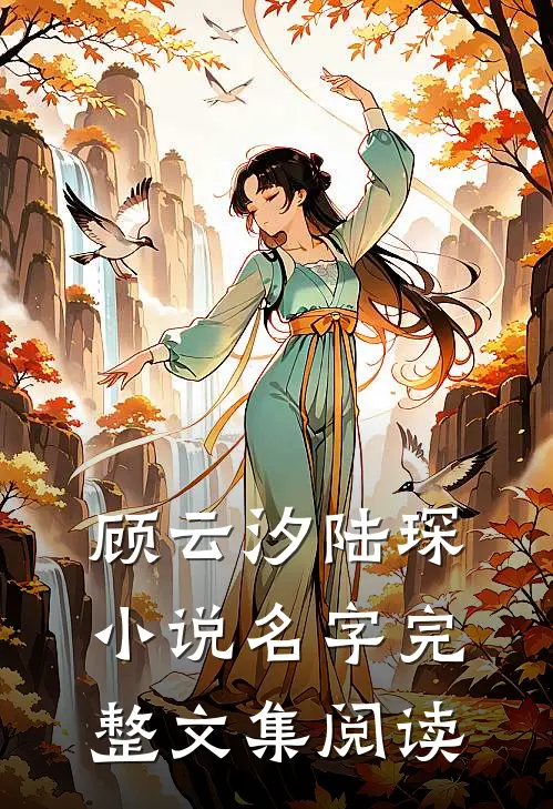顾云汐陆琛小说名字完整文集阅读