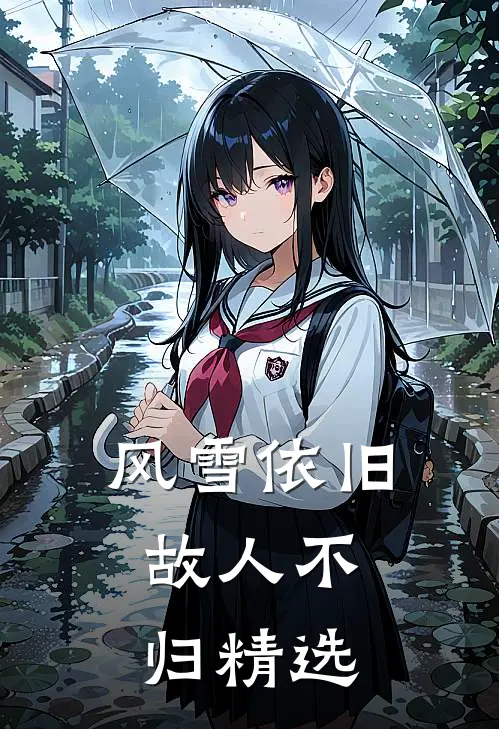 风雪依旧,故人不归精选句子