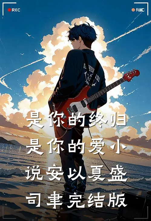 是你的终归是你的爱小说安以夏盛司聿完结版
