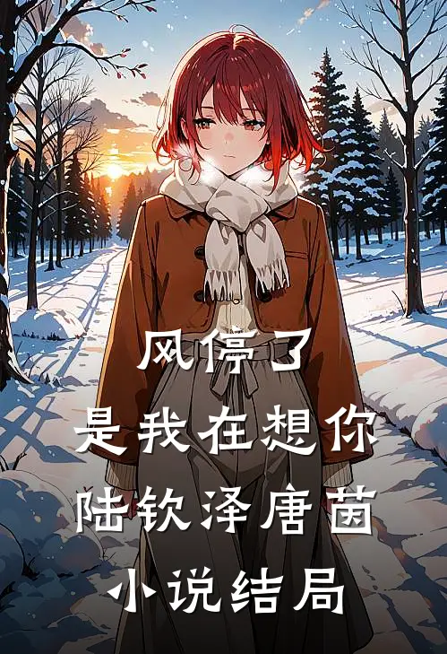 风停了，是我在想你陆钦泽唐茵小说结局