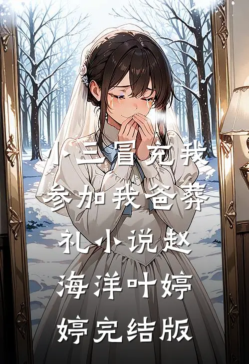 小三冒充我参加我爸葬礼小说赵海洋叶婷婷完结版