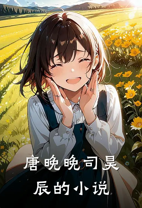 唐晚晚司昊辰的小说