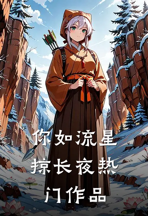 你如流星掠长夜热门作品