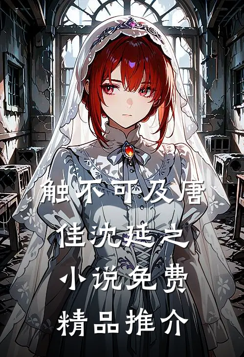 触不可及唐佳沈延之小说免费精品推介