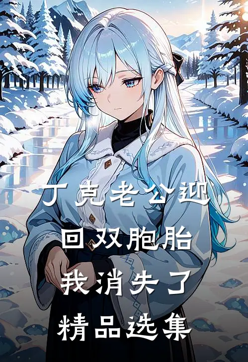 丁克老公迎回双胞胎，我消失了精品选集