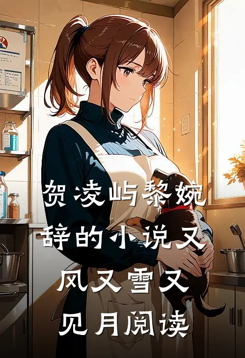 贺凌屿黎婉辞的小说又风又雪又见月阅读