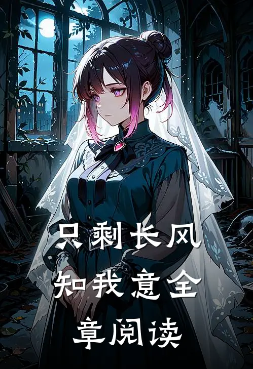 只剩长风知我意全章阅读