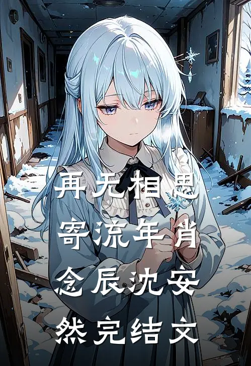 再无相思寄流年肖念辰沈安然完结文