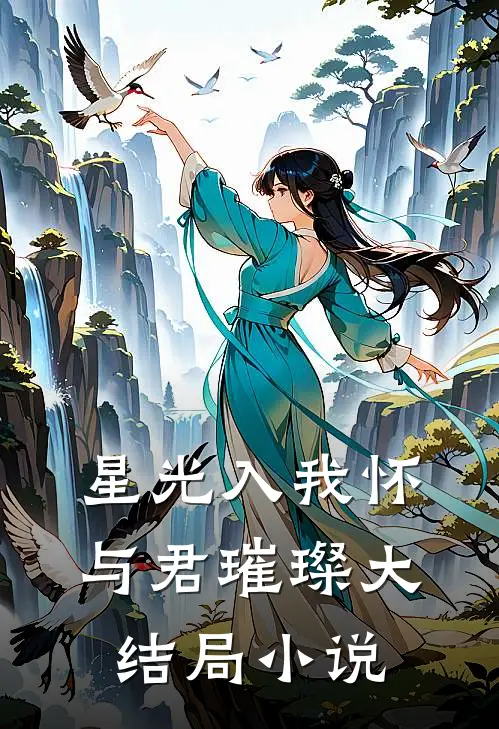 星光入我怀与君璀璨大结局小说