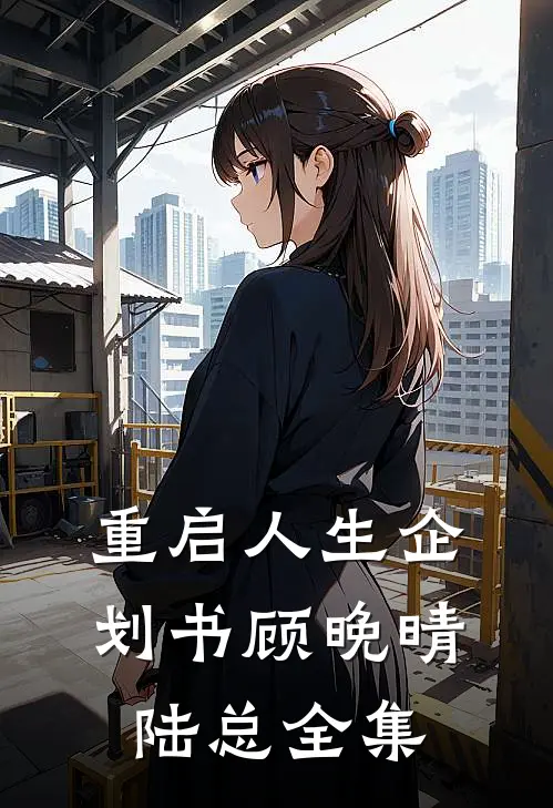 重启人生企划书顾晚晴陆总 全集