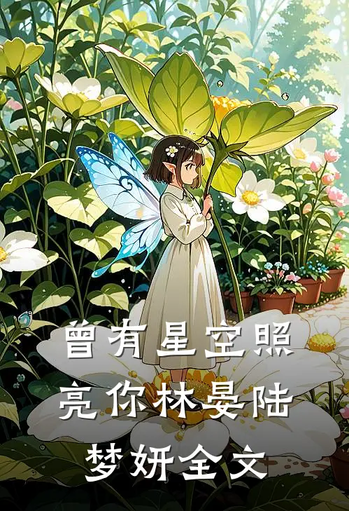 曾有星空照亮你林晏陆梦妍全文