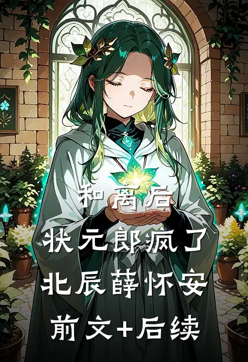 和离后，状元郎疯了北辰薛怀安前文+后续