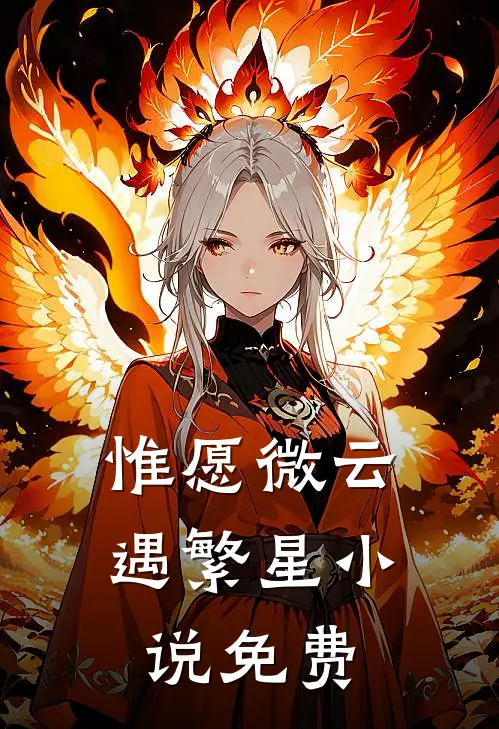 惟愿微云遇繁星小说免费