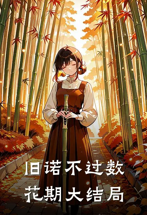 旧诺不过数花期大结局