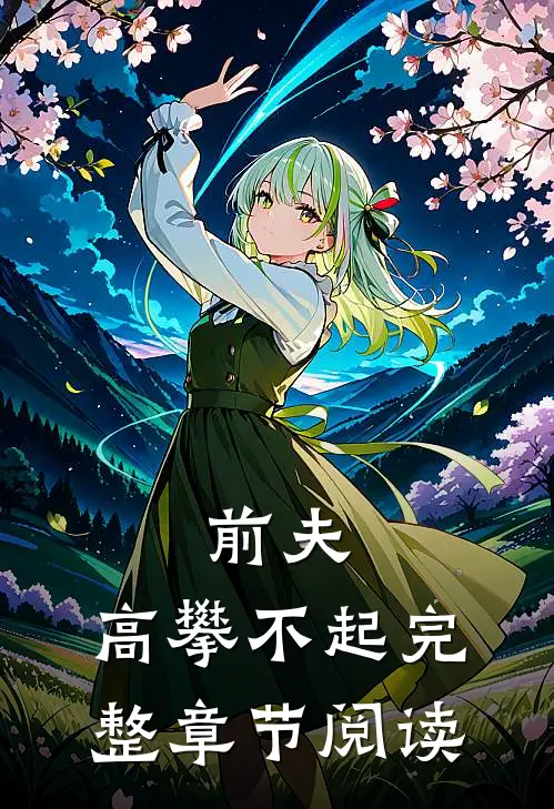 前夫,高攀不起完整章节阅读免费