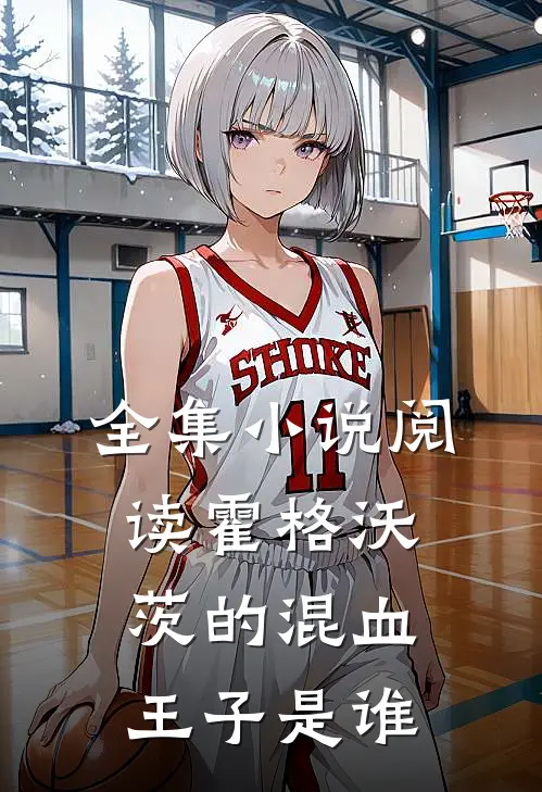 全集小说阅读霍格沃茨的混血王子是谁