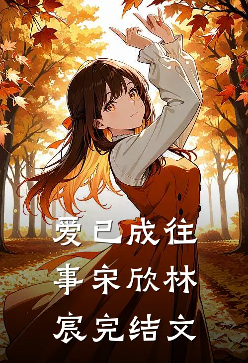 爱已成往事宋欣林宸完结文