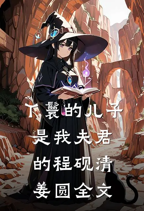 丫鬟的儿子是我夫君的程砚清姜圆全文