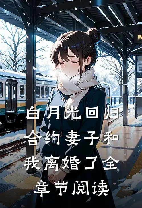 白月光回归，合约妻子和我离婚了全章节阅读